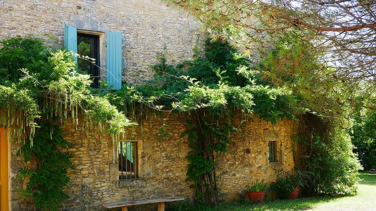 Photo of Outdoor in Gavaudun