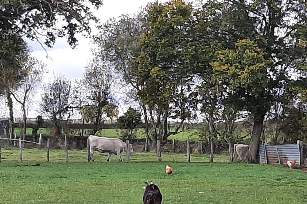 Photo of Outdoor in Gesnes-le-Gandelin