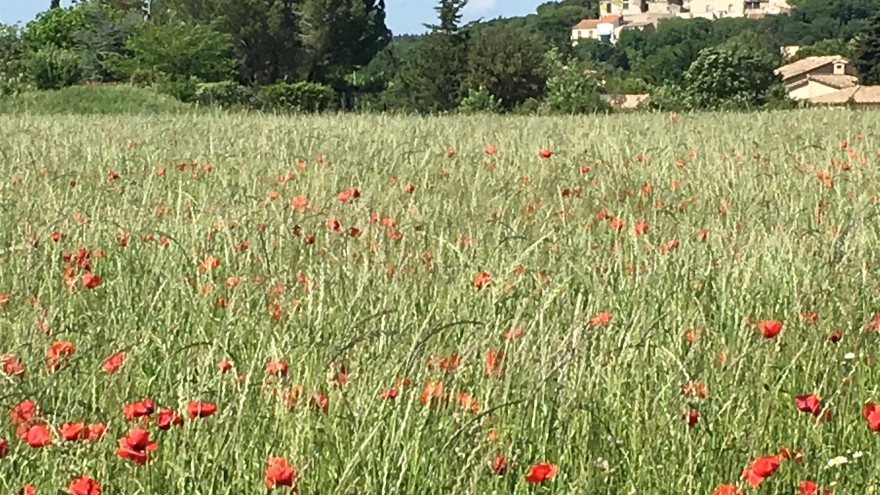 Photo of Outdoor in Teyran