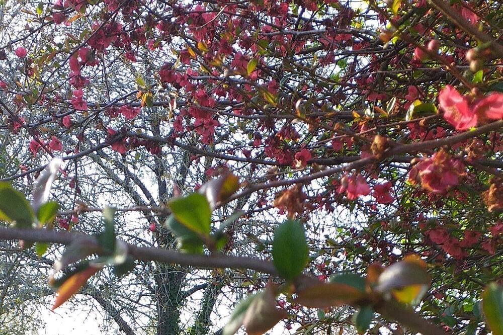 Photo of Outdoor in Lucay-le-Male