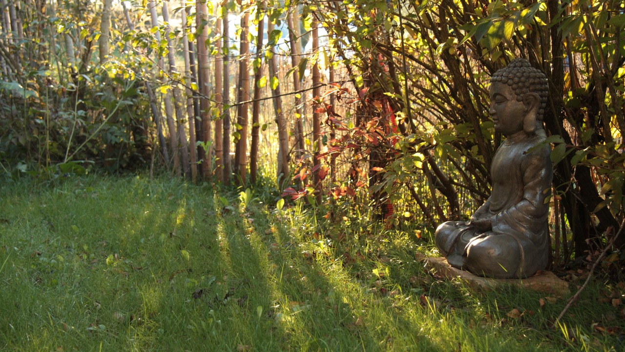 Photo of Outdoor in Saint Usuge