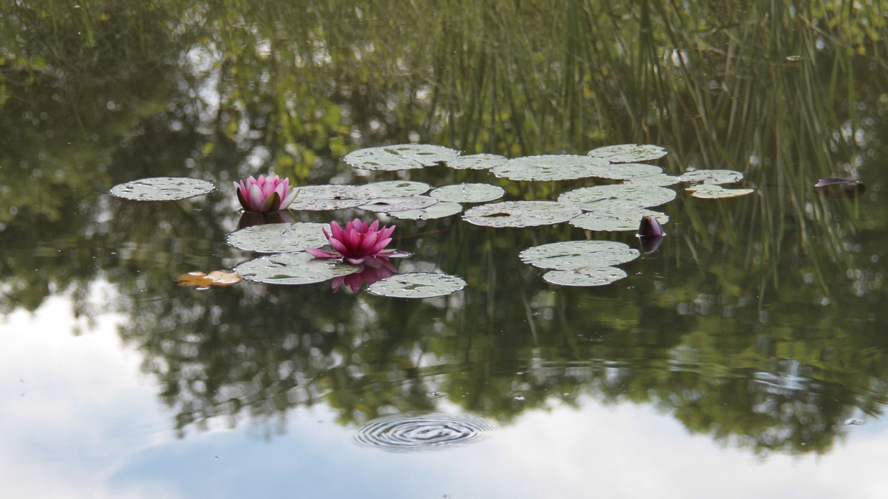 Photo of Outdoor in Saint Usuge