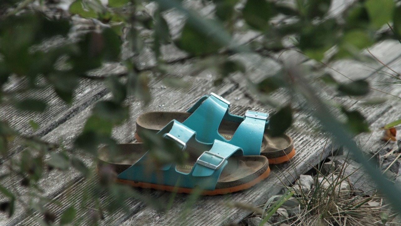 Photo of Outdoor in Saint Usuge