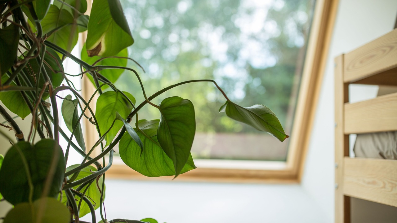 Photo of Others in Saint Usuge