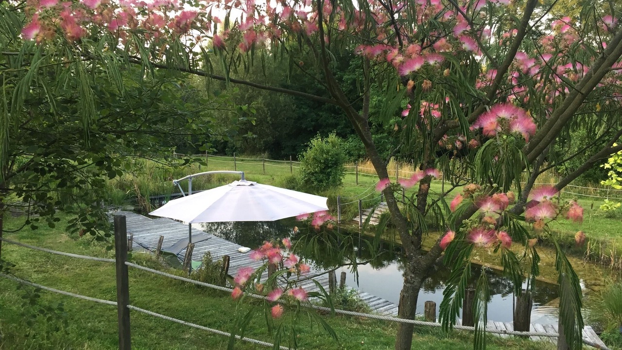 Photo of Outdoor in Saint Usuge