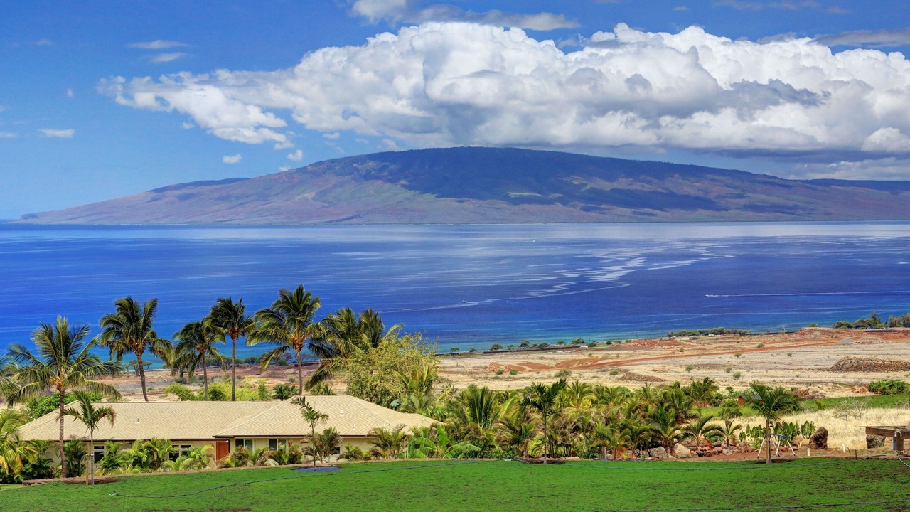Photo of Others in Historic Lahaina Front Street