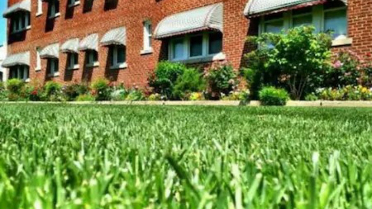 Photo of Outdoor in Midtown