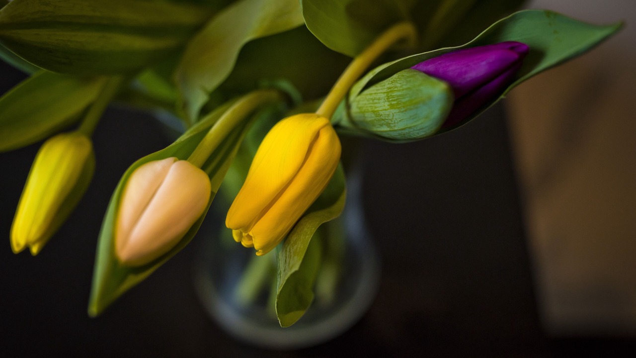 Photo of Others in Chorlton-cum-Hardy