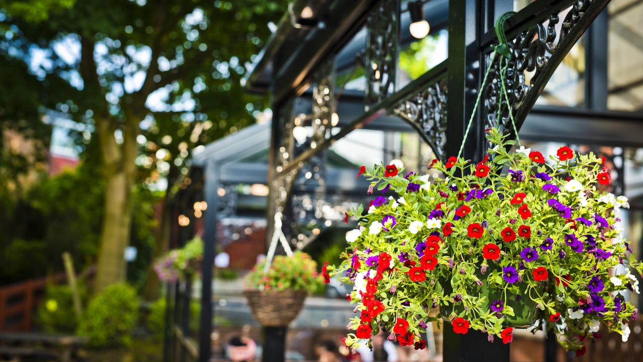 Photo of Outdoor in Chorlton-cum-Hardy