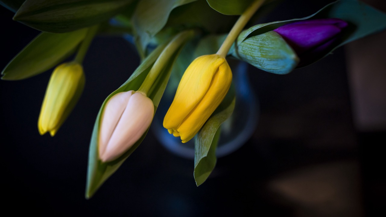 Photo of Others in Chorlton-cum-Hardy