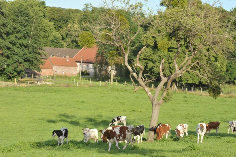 Photo of Outdoor in Saint-Martin-le-Gaillard