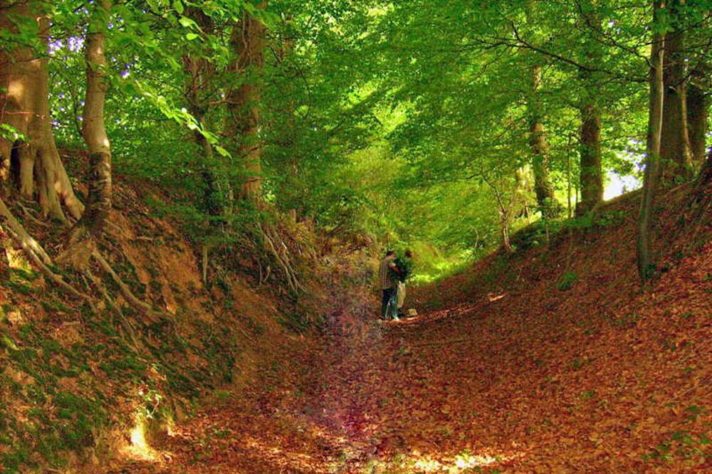 Photo of Others in Varneville-Bretteville