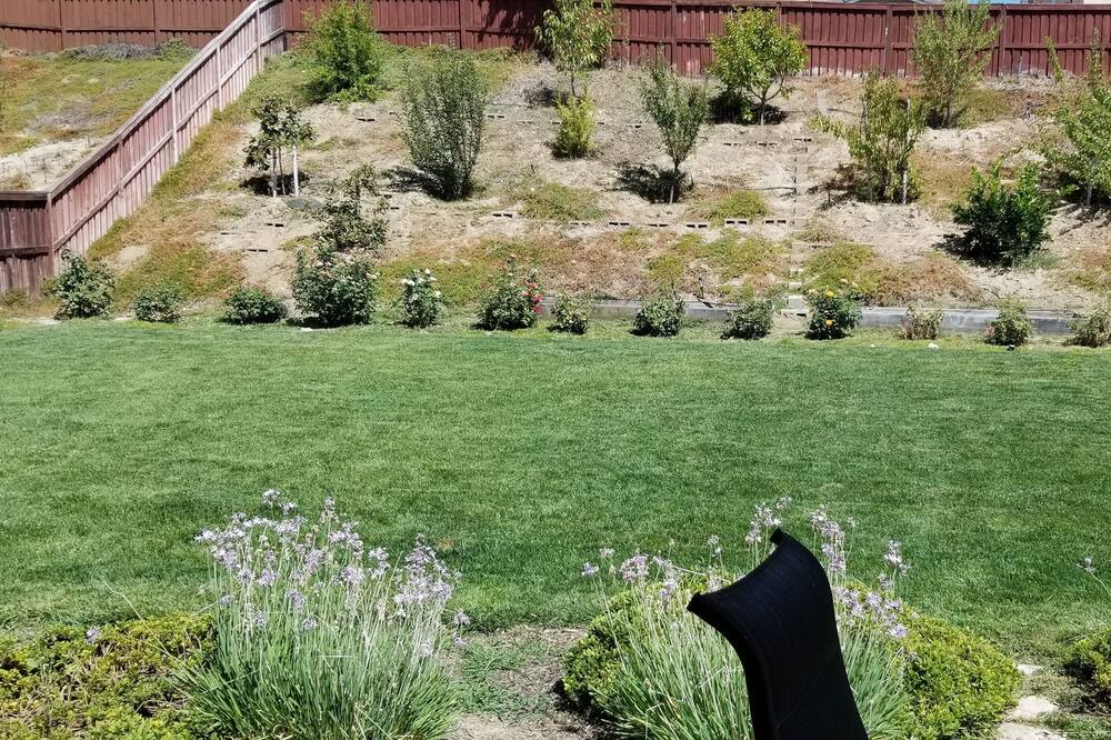 Photo of Outdoor in Beaumont