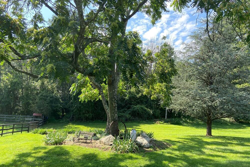 Photo of Outdoor in Round Hill