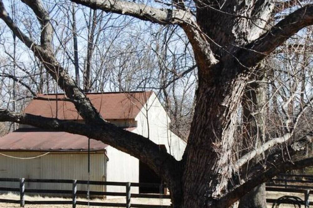 Photo of Outdoor in Round Hill