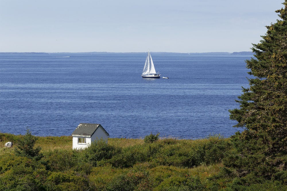 Photo of Others in Indian Harbour