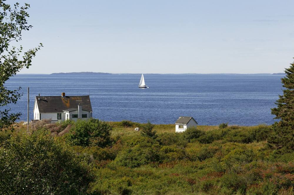 Photo of Others in Indian Harbour