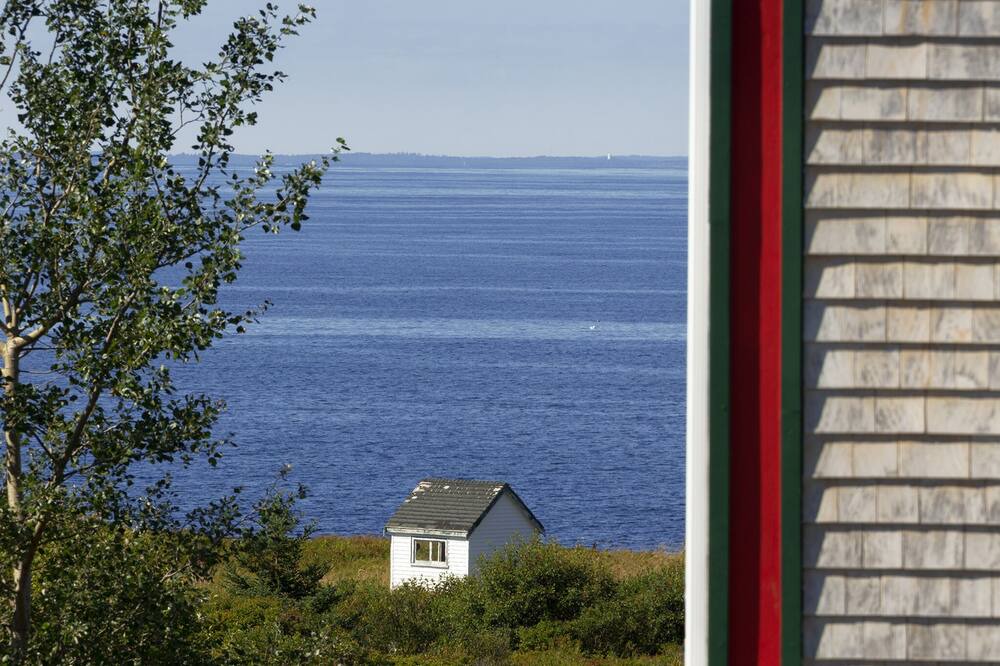 Photo of Others in Indian Harbour