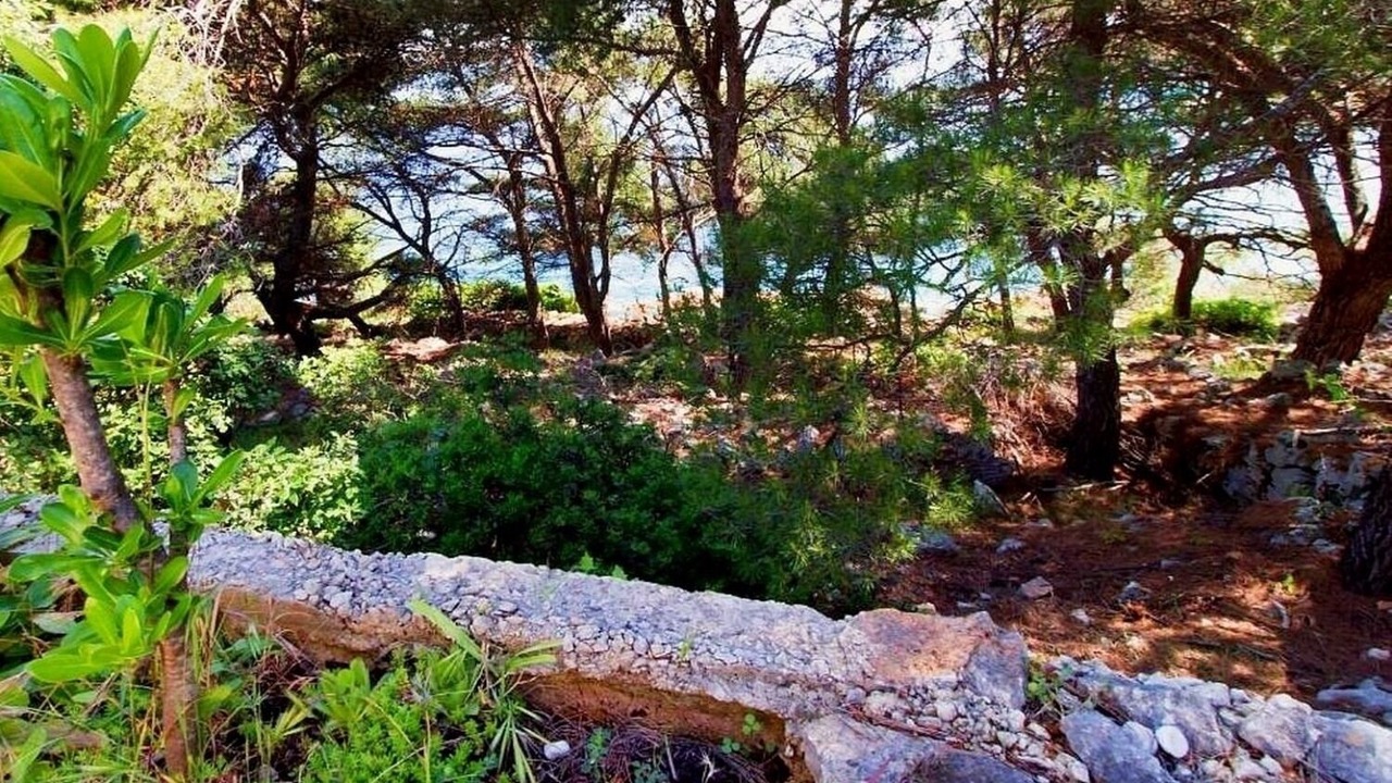Photo of Outdoor in Donje Selo