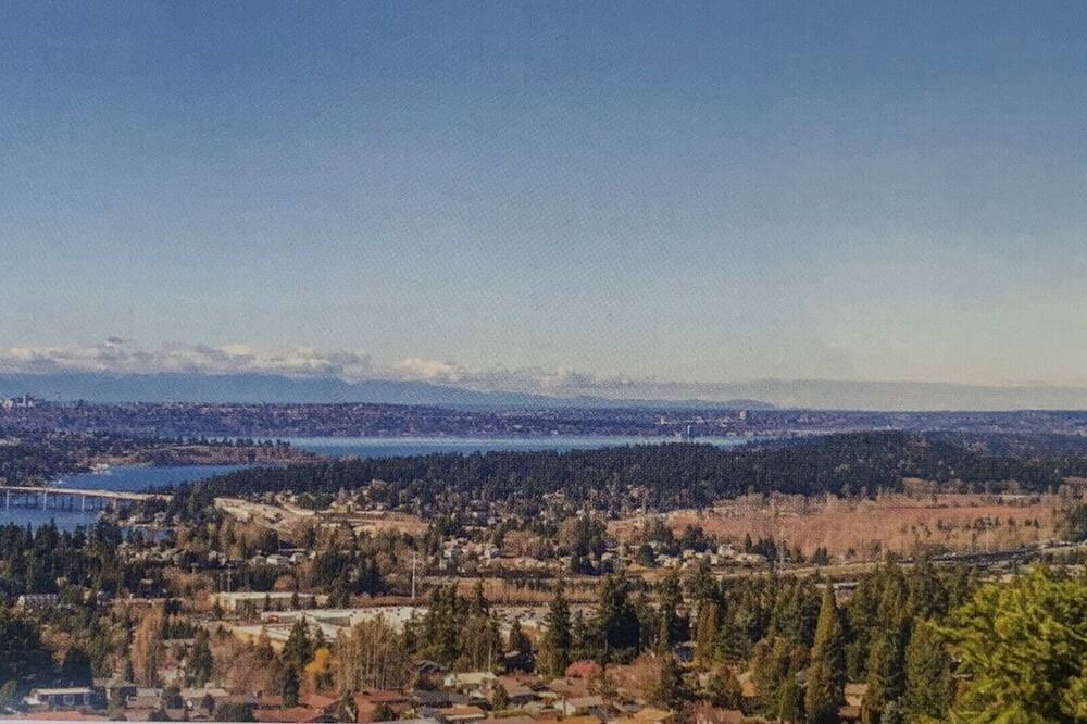 Photo of Others in Somerset