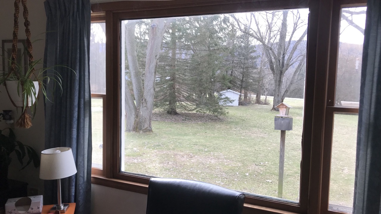 Photo of Others in Dryden