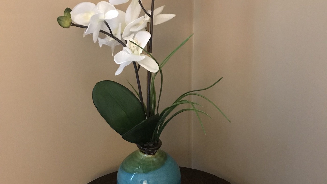 Photo of Others in Dryden