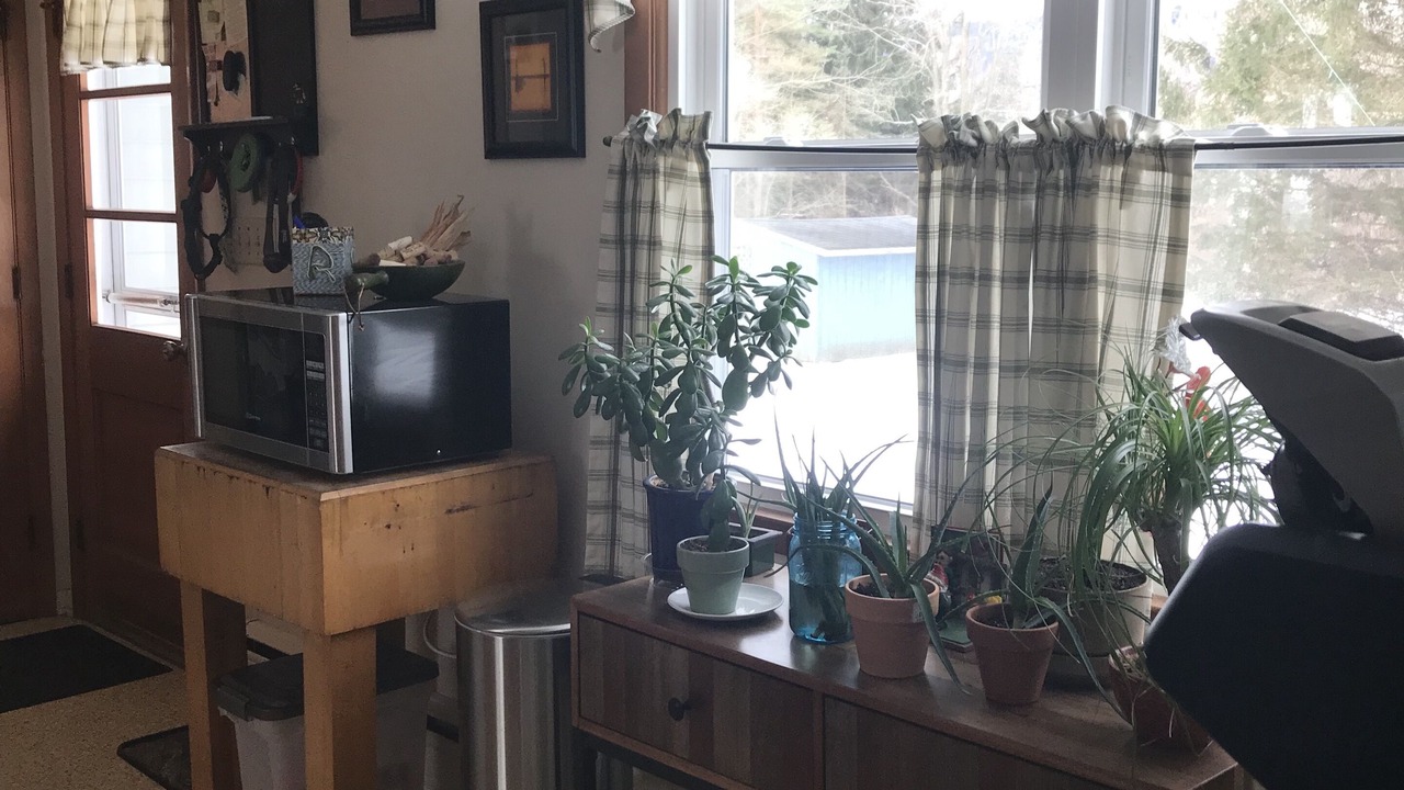 Photo of Livingroom in Dryden