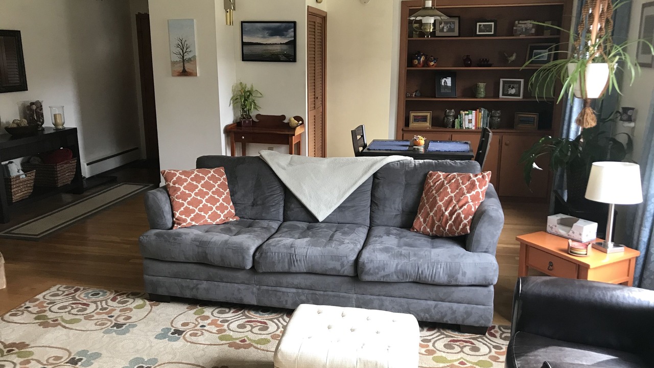 Photo of Livingroom in Dryden