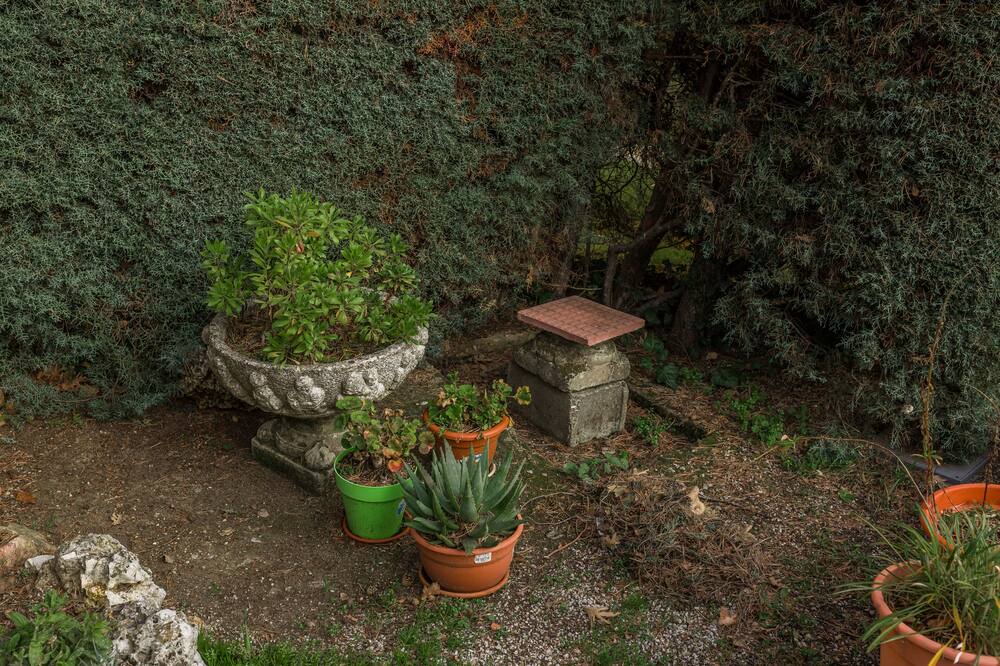 Photo of Outdoor in Miraflores de la Sierra