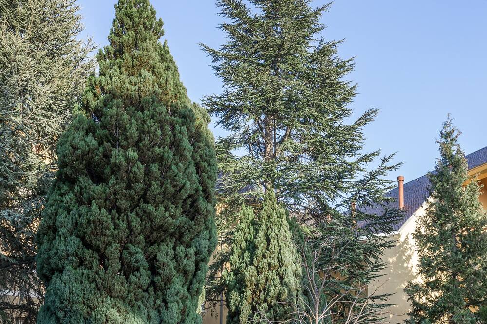 Photo of Outdoor in Miraflores de la Sierra