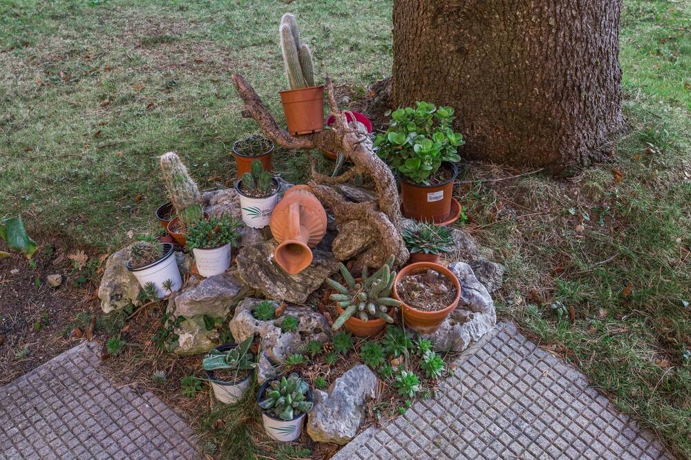 Photo of Outdoor in Miraflores de la Sierra