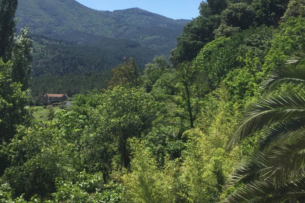 Photo of Outdoor in Les Salelles