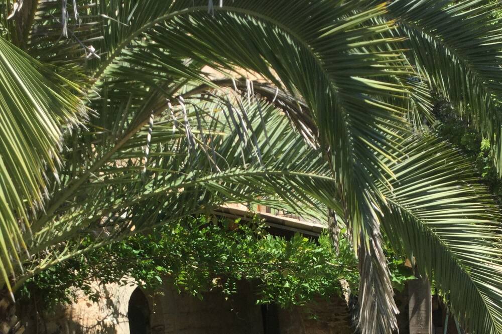 Photo of Outdoor in Les Salelles