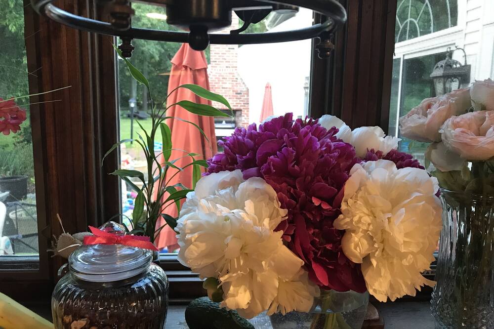 Photo of Others in Somers