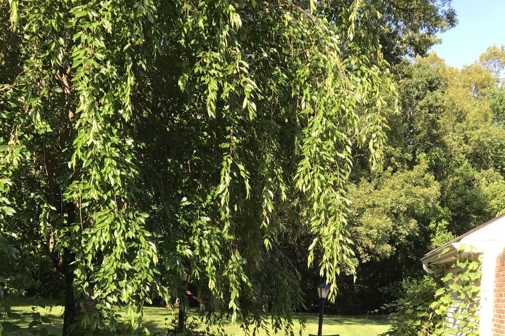 Photo of Outdoor in Somers