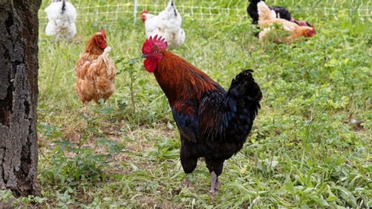 Photo of Outdoor in Gervans