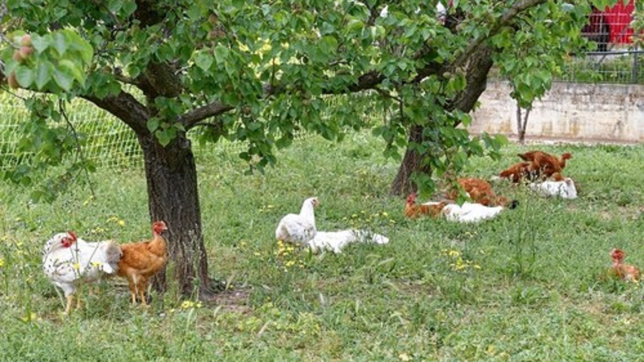 Photo of Outdoor in Gervans