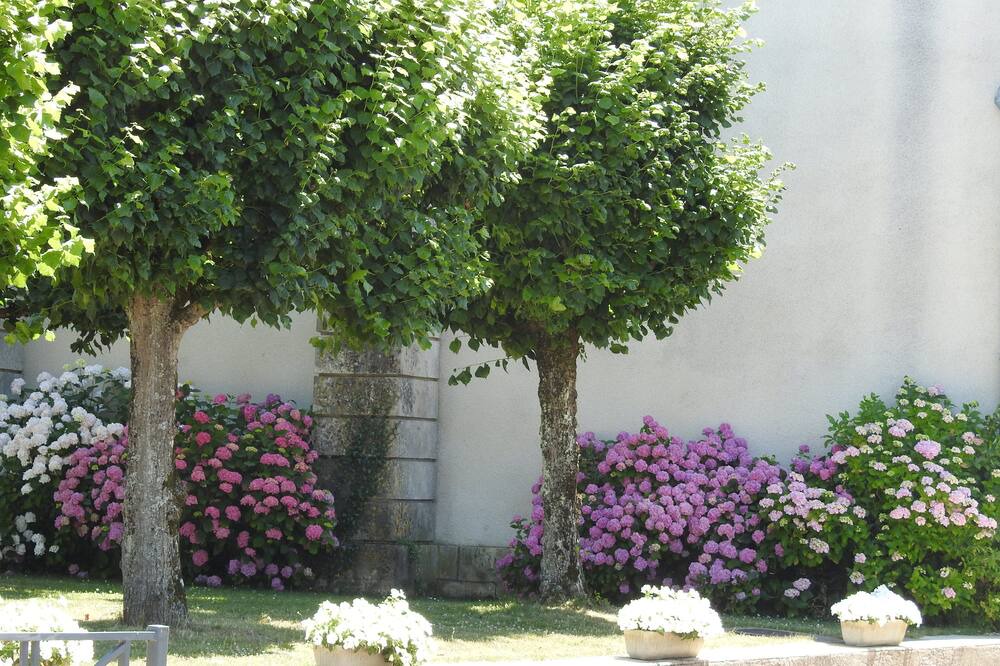 Photo of Outdoor in Ambrault