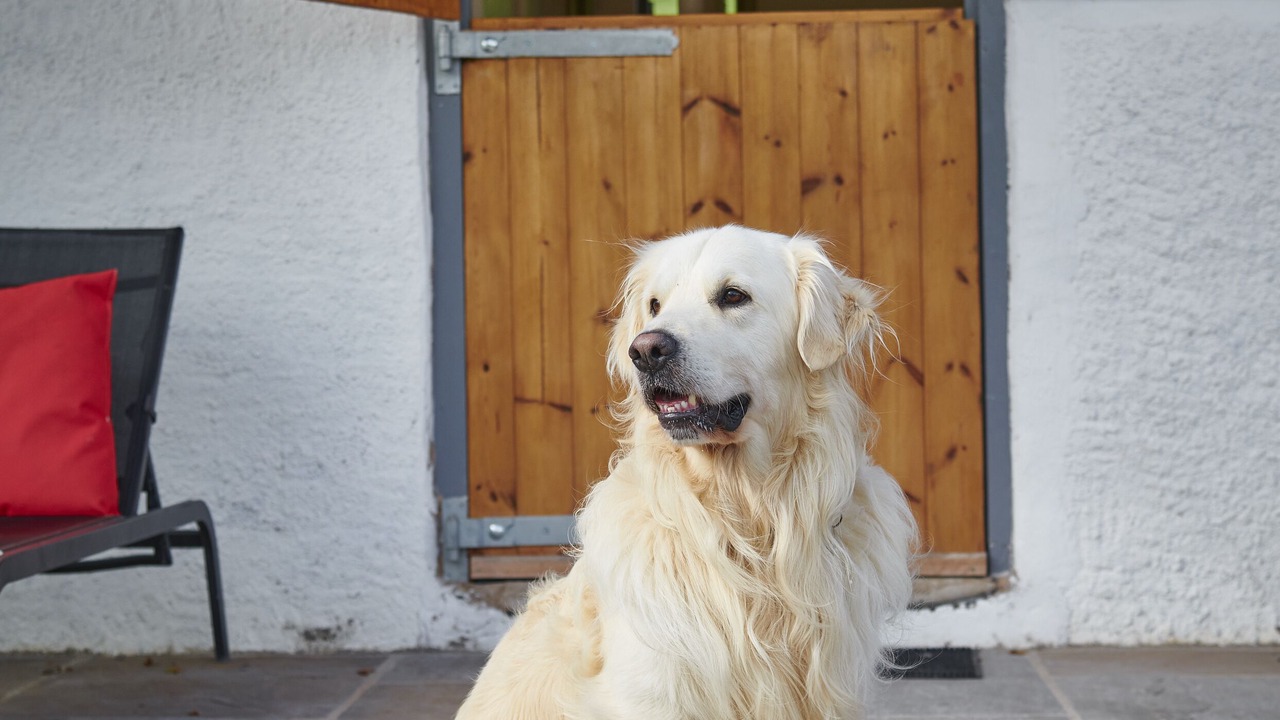 Photo of Outdoor in Natland