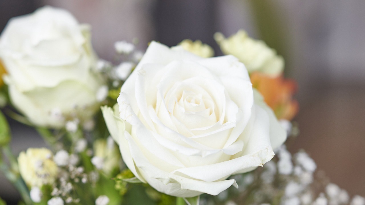 Photo of Others in Natland