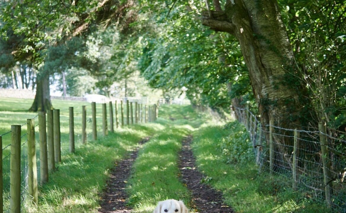 Photo of Others in Natland