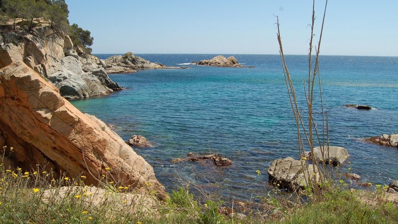 Photo of Others in Tossa de Mar