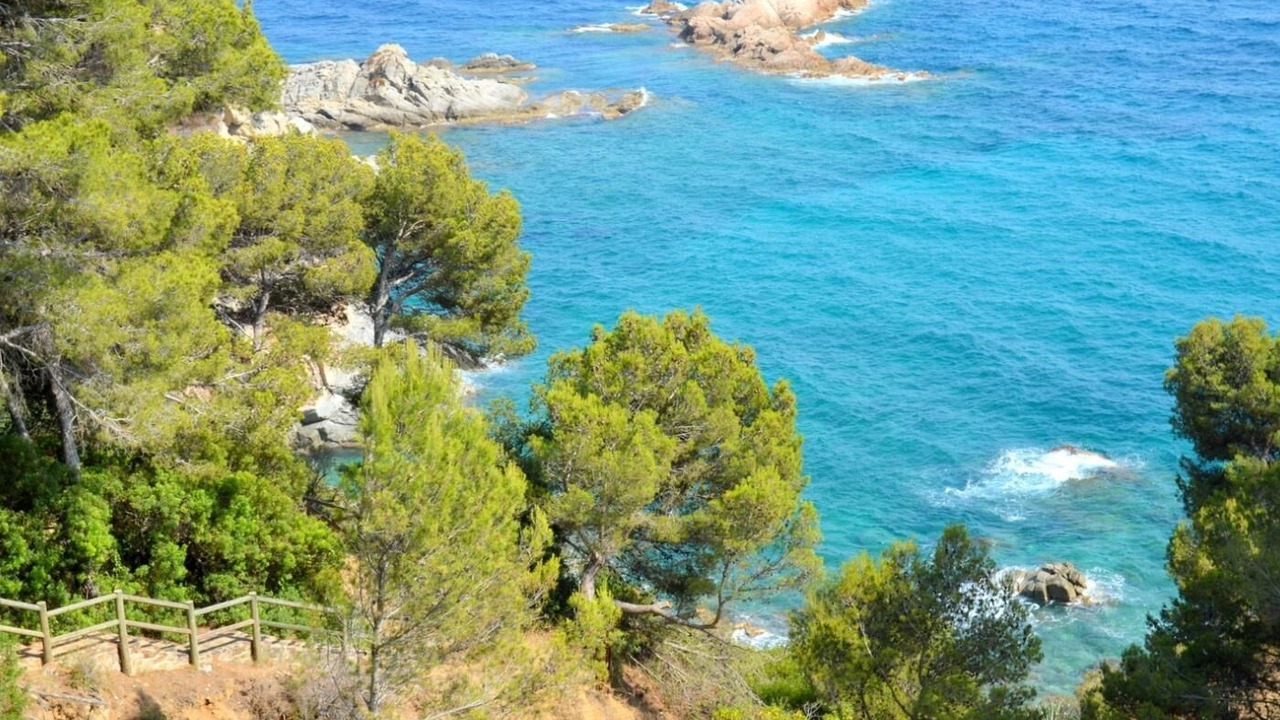 Photo of Others in Tossa de Mar
