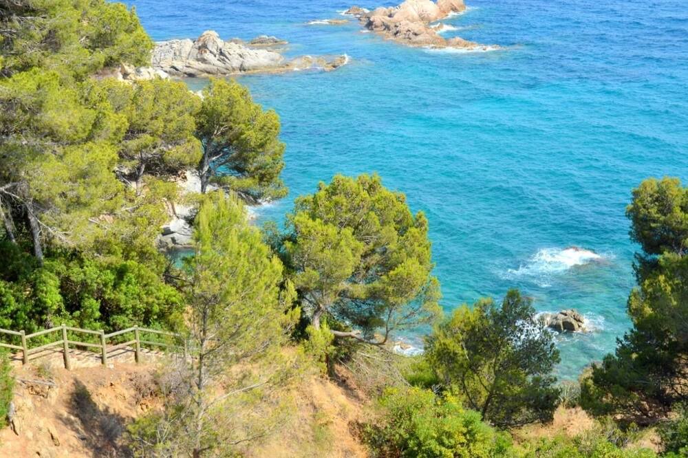 Photo of Others in Tossa de Mar