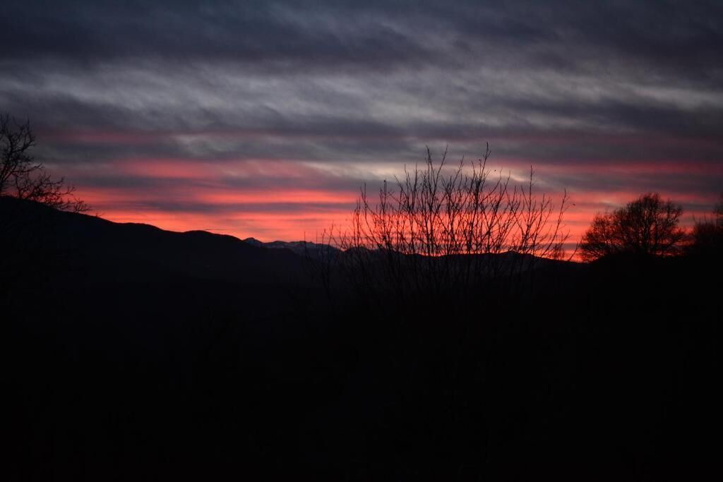 Photo of Others in Pereille