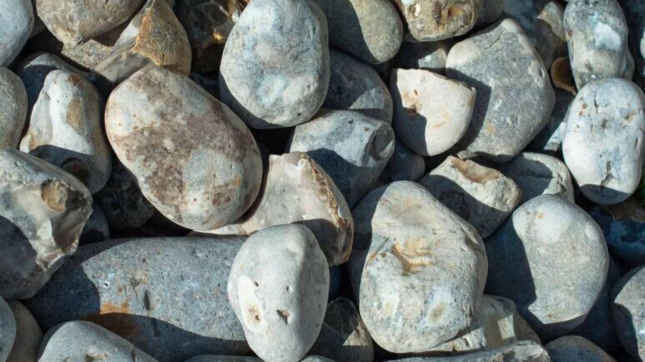 Photo of Outdoor in Le Croisic