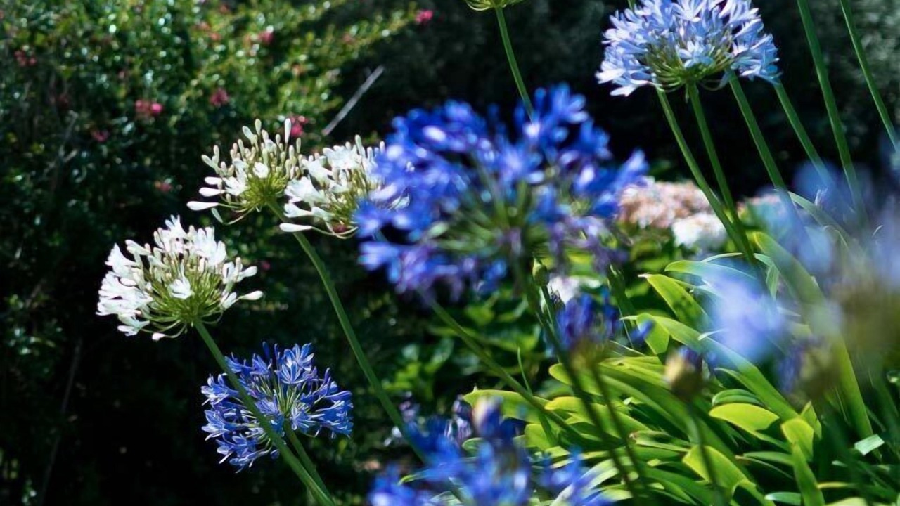 Photo of Outdoor in Le Croisic