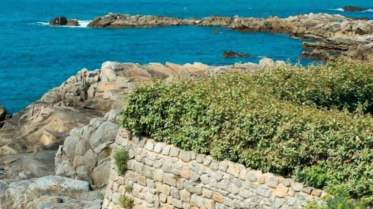 Photo of Others in Le Croisic