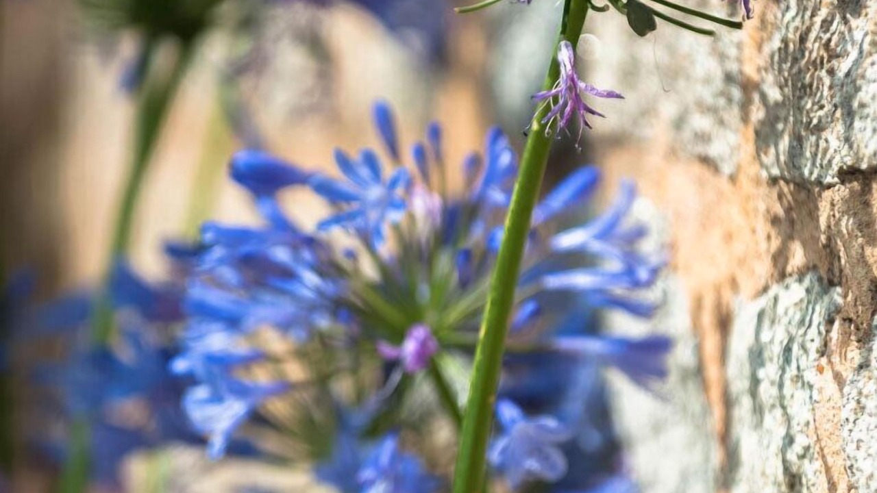 Photo of Outdoor in Le Croisic