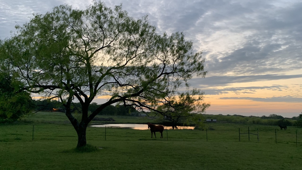 Photo of Outdoor in Burleson